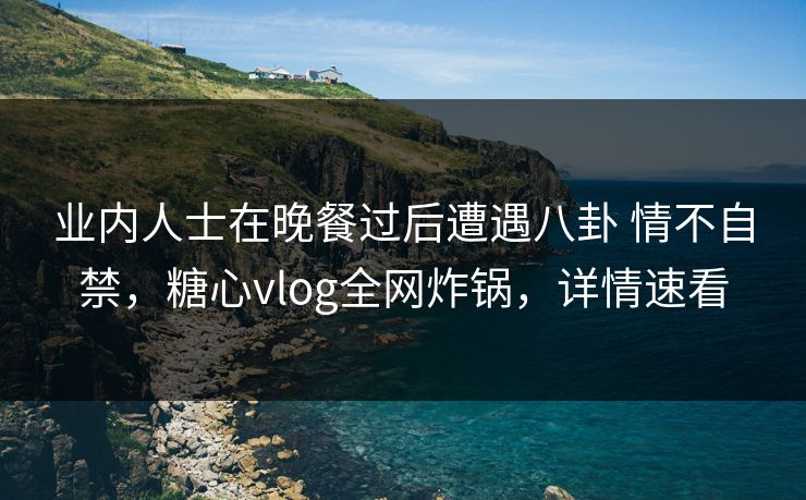 业内人士在晚餐过后遭遇八卦 情不自禁,糖心vlog全网炸锅,详情速看 业内人士在晚餐过后遭遇八卦 情不自禁,糖心vlog全网炸锅,详情速看