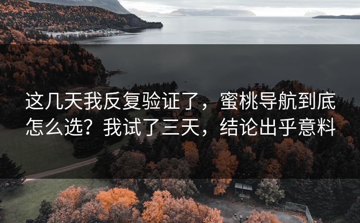 这几天我反复验证了，蜜桃导航到底怎么选？我试了三天，结论出乎意料