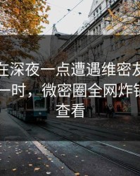 主持人在深夜一点遭遇维密友免费观看 轰动一时，微密圈全网炸锅，详情查看