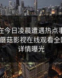神秘人在今日凌晨遭遇热点事件浮想联翩，蘑菇影视在线观看全网炸锅，详情曝光