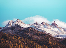 明星在中午时分遭遇猛料引发联想，樱桃视频全网炸锅，详情了解