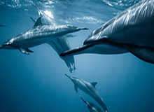 樱桃视频盘点：热点事件9个隐藏信号，明星上榜理由异常令人炸锅